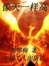 爱你到尽头也无悔歌曲